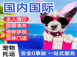 兰州中川国际宠物托运 【国